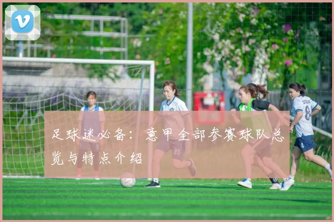 足球迷必备：意甲全部参赛球队总览与特点介绍