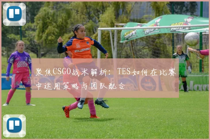 聚焦CSGO战术解析：TES如何在比赛中运用策略与团队配合