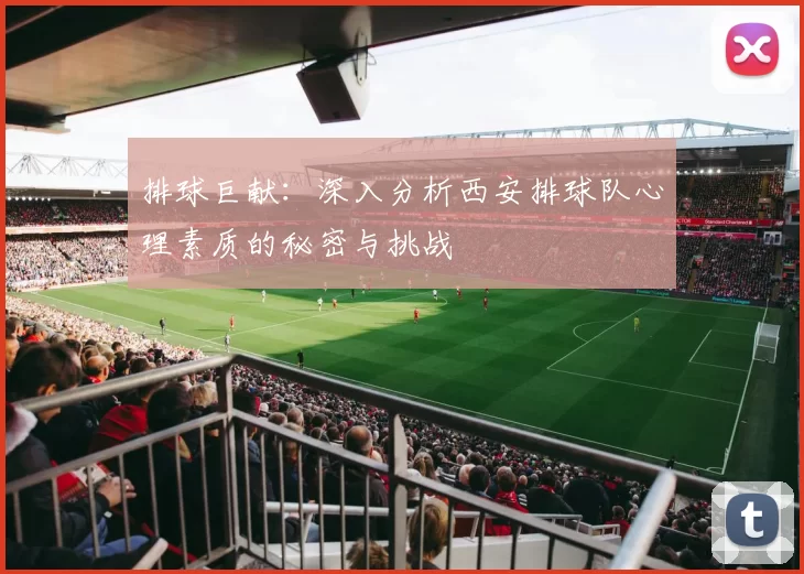 排球巨献：深入分析西安排球队心理素质的秘密与挑战