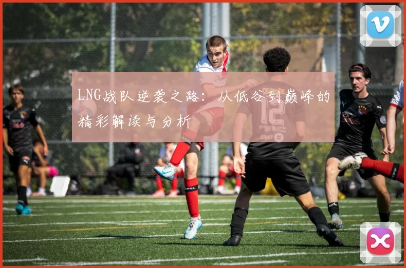 LNG战队逆袭之路：从低谷到巅峰的精彩解读与分析
