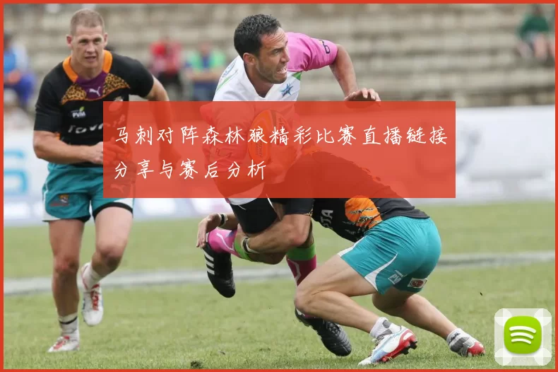 马刺对阵森林狼精彩比赛直播链接分享与赛后分析