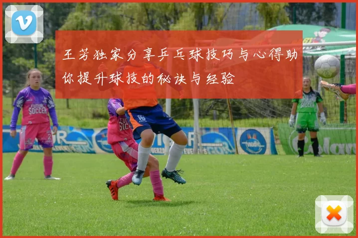 王芳独家分享乒乓球技巧与心得助你提升球技的秘诀与经验