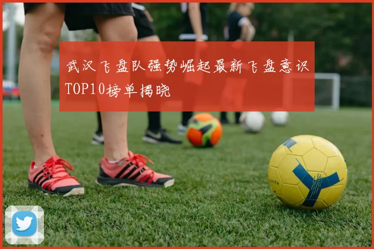 武汉飞盘队强势崛起最新飞盘意识TOP10榜单揭晓