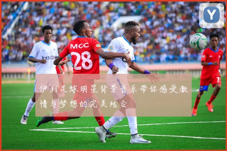 伊利足球明星背景音乐带你感受激情与梦想的完美结合