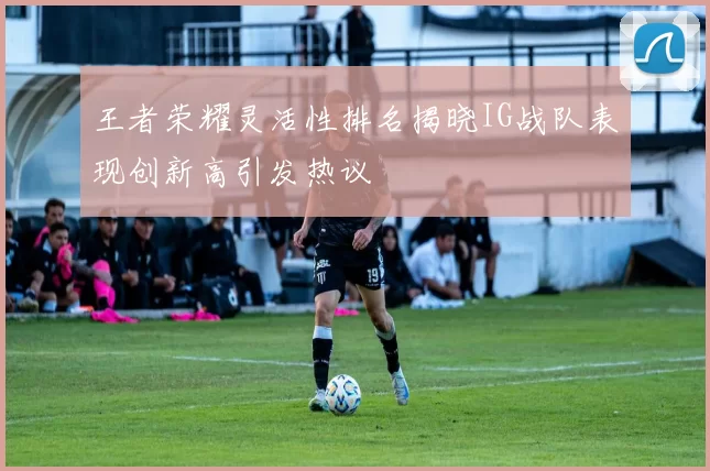 王者荣耀灵活性排名揭晓IG战队表现创新高引发热议