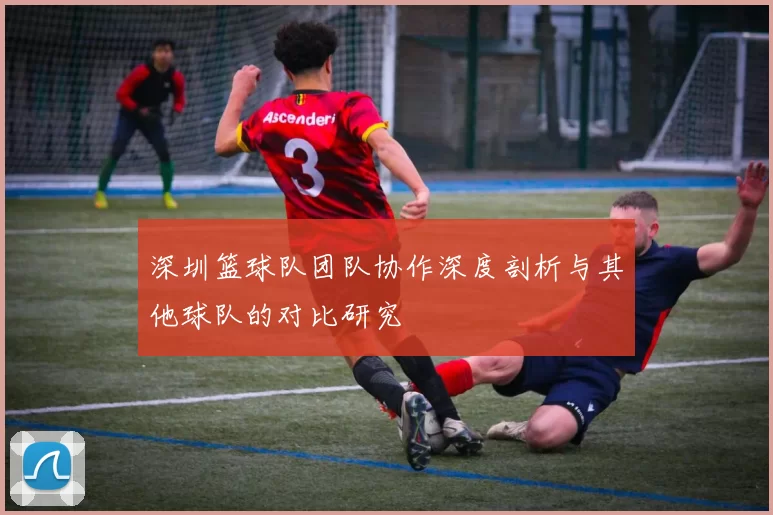 深圳篮球队团队协作深度剖析与其他球队的对比研究