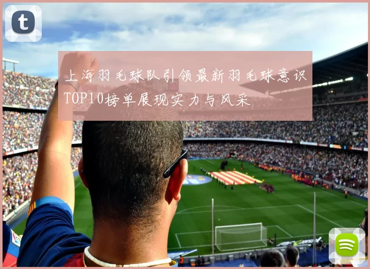 上海羽毛球队引领最新羽毛球意识TOP10榜单展现实力与风采
