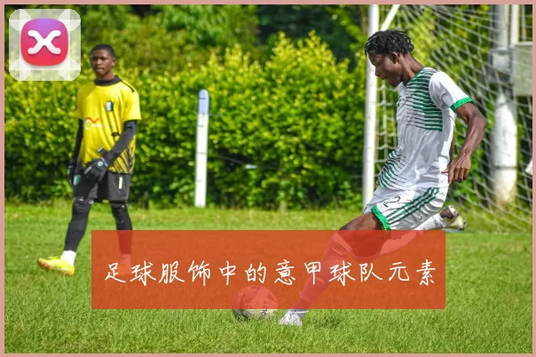 足球服饰中的意甲球队元素