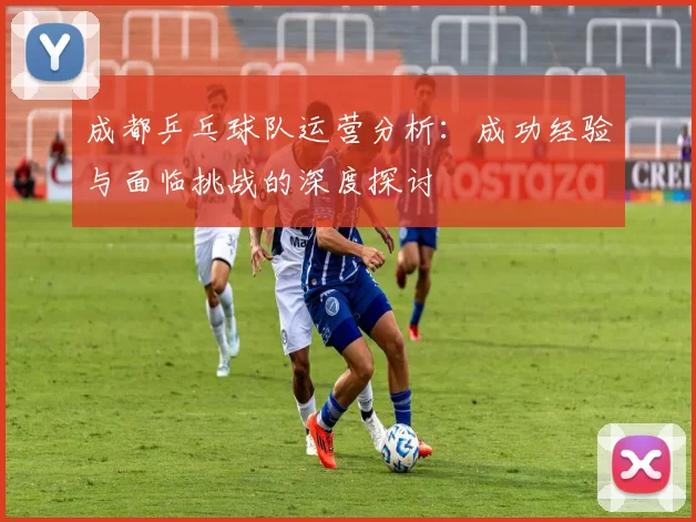 成都乒乓球队运营分析：成功经验与面临挑战的深度探讨