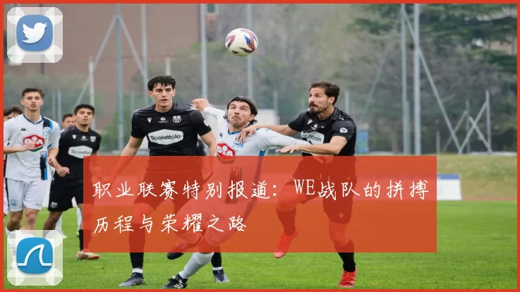 职业联赛特别报道：WE战队的拼搏历程与荣耀之路