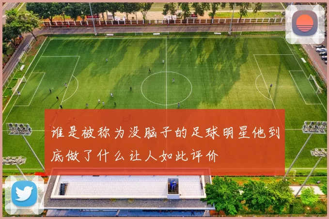 谁是被称为没脑子的足球明星他到底做了什么让人如此评价