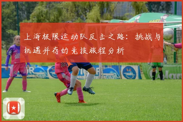 上海极限运动队反击之路：挑战与机遇并存的竞技旅程分析